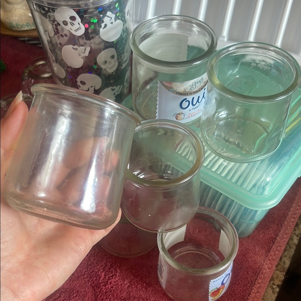 Clear Glass Jar Set for plants and storage